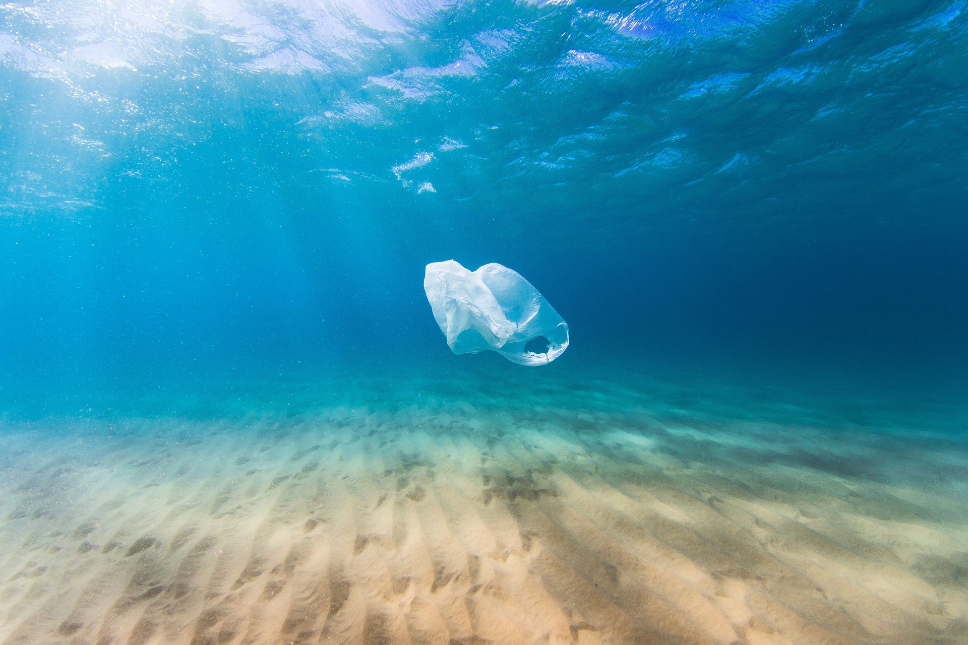 Plastic bag pollution in ocean